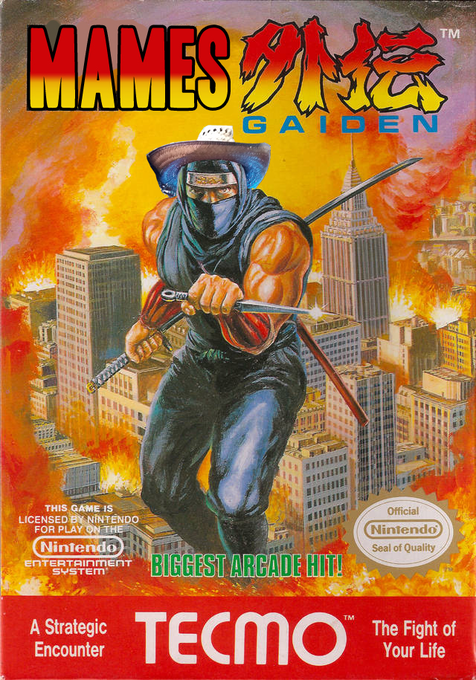 Ninja Gaiden parody cover